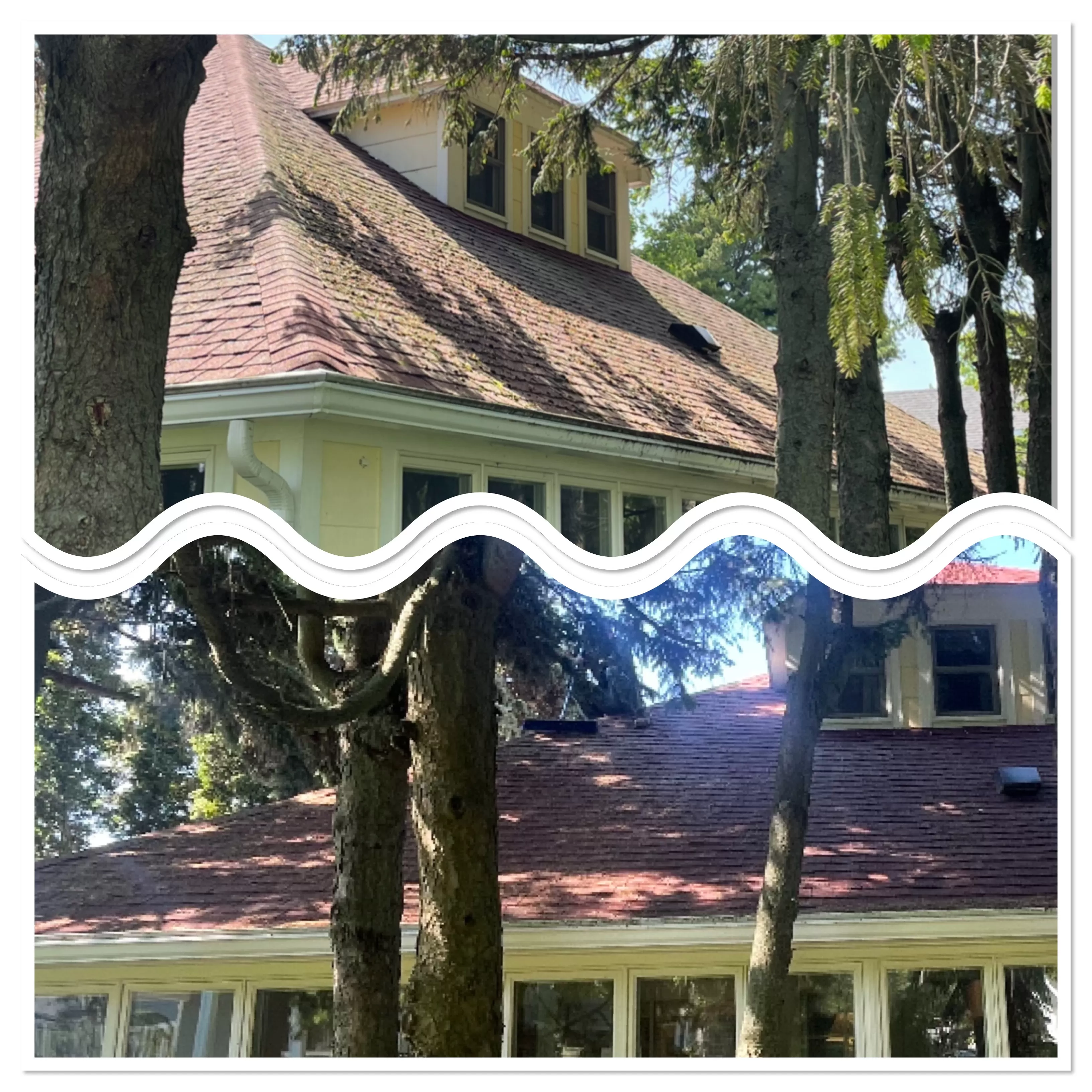 Roof Cleaning and Gutter Cleaning in Au Gres, MI